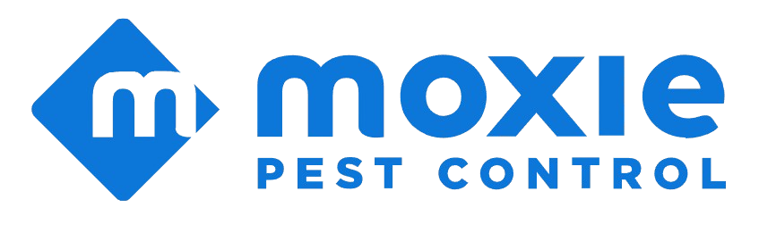 Moxie
